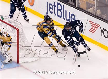 Thumbnail 2 in Malden Catholic vs. St. John's Prep (MIAA Super 8 Final) photogallery.
