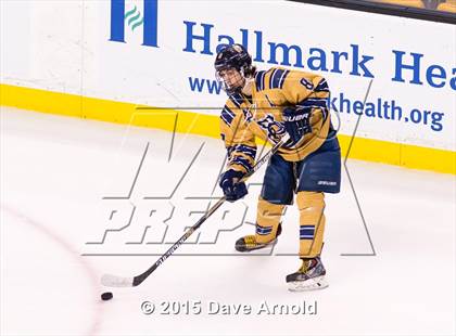 Thumbnail 2 in Malden Catholic vs. St. John's Prep (MIAA Super 8 Final) photogallery.