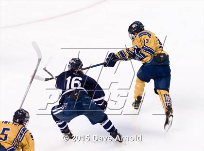 Thumbnail 3 in Malden Catholic vs. St. John's Prep (MIAA Super 8 Final) photogallery.