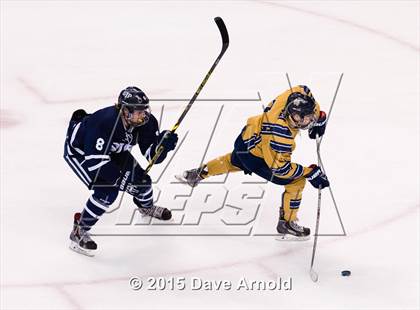 Thumbnail 1 in Malden Catholic vs. St. John's Prep (MIAA Super 8 Final) photogallery.