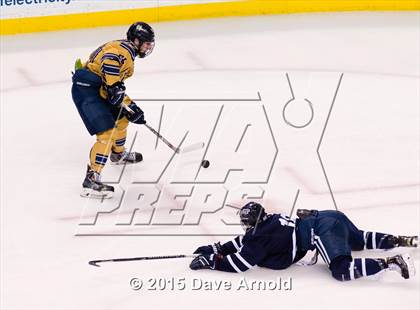 Thumbnail 3 in Malden Catholic vs. St. John's Prep (MIAA Super 8 Final) photogallery.