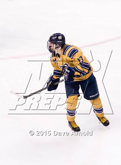 Thumbnail 3 in Malden Catholic vs. St. John's Prep (MIAA Super 8 Final) photogallery.