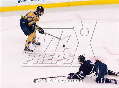 Thumbnail 2 in Malden Catholic vs. St. John's Prep (MIAA Super 8 Final) photogallery.