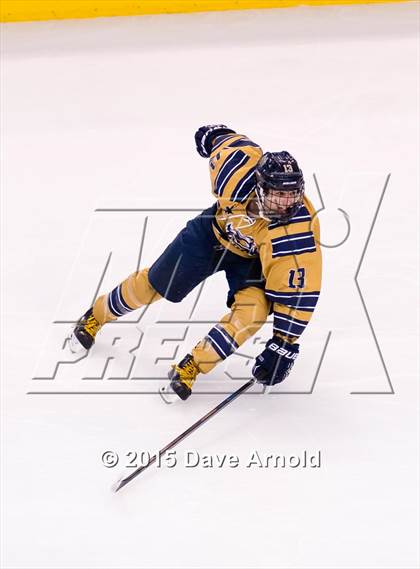Thumbnail 3 in Malden Catholic vs. St. John's Prep (MIAA Super 8 Final) photogallery.
