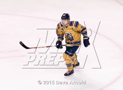 Thumbnail 3 in Malden Catholic vs. St. John's Prep (MIAA Super 8 Final) photogallery.