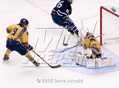 Thumbnail 3 in Malden Catholic vs. St. John's Prep (MIAA Super 8 Final) photogallery.