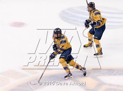 Thumbnail 1 in Malden Catholic vs. St. John's Prep (MIAA Super 8 Final) photogallery.