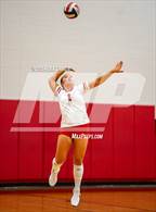 Photo from the gallery "Canyon vs. Clark"