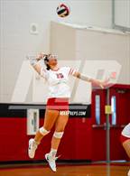 Photo from the gallery "Canyon vs. Clark"