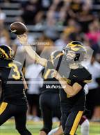 Photo from the gallery "De Smet Jesuit @ Vianney"
