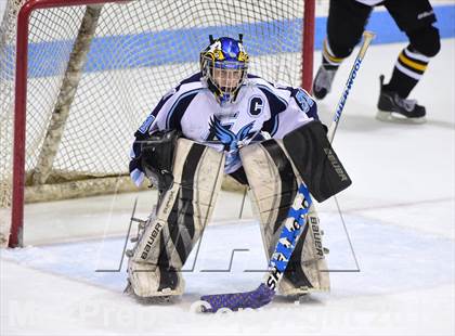 Thumbnail 1 in Daniel Hand vs. East Catholic (CIAC DII Semifinal) photogallery.