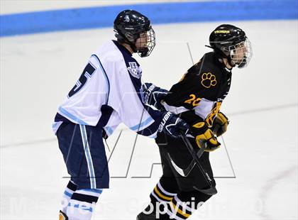Thumbnail 1 in Daniel Hand vs. East Catholic (CIAC DII Semifinal) photogallery.