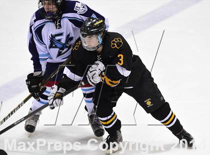 Thumbnail 1 in Daniel Hand vs. East Catholic (CIAC DII Semifinal) photogallery.