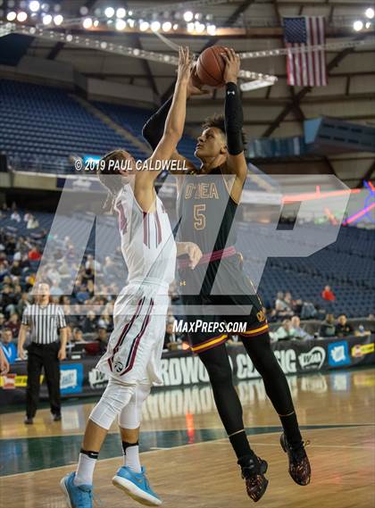 Thumbnail 3 in Mt. Spokane vs. O'Dea (WIAA 3A Final) photogallery.