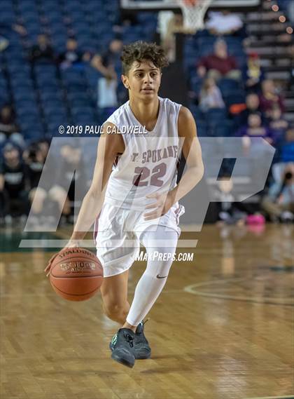 Thumbnail 1 in Mt. Spokane vs. O'Dea (WIAA 3A Final) photogallery.