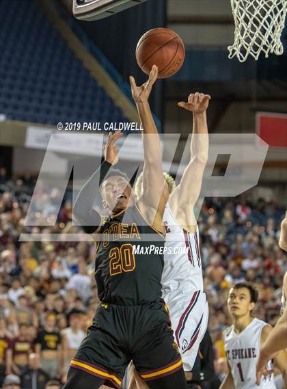 Thumbnail 3 in Mt. Spokane vs. O'Dea (WIAA 3A Final) photogallery.