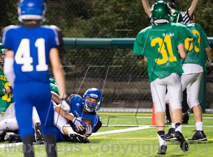 Thumbnail 3 in Roosevelt @ Bothell photogallery.