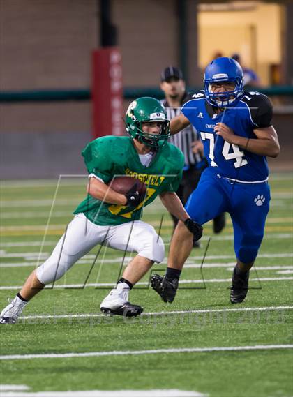 Thumbnail 1 in Roosevelt @ Bothell photogallery.
