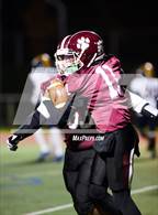 Photo from the gallery "Pine Bush @ Kingston"