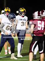 Photo from the gallery "Pine Bush @ Kingston"