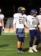 Photo from the gallery "Pine Bush @ Kingston"