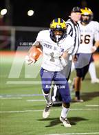 Photo from the gallery "Pine Bush @ Kingston"