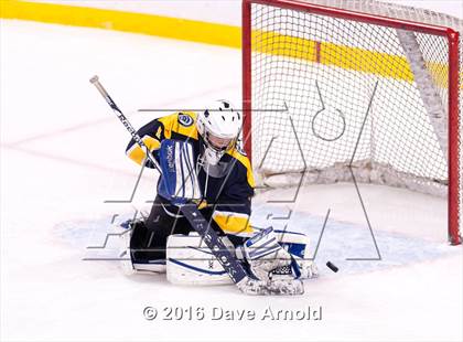 Thumbnail 2 in Wellesley vs Notre Dame Academy (MIAA Division 2 Final) photogallery.
