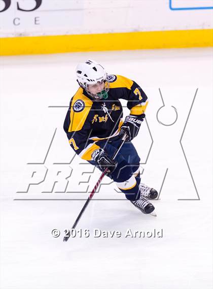 Thumbnail 1 in Wellesley vs Notre Dame Academy (MIAA Division 2 Final) photogallery.