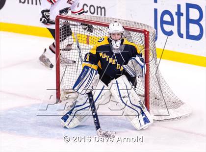 Thumbnail 3 in Wellesley vs Notre Dame Academy (MIAA Division 2 Final) photogallery.