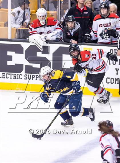 Thumbnail 3 in Wellesley vs Notre Dame Academy (MIAA Division 2 Final) photogallery.