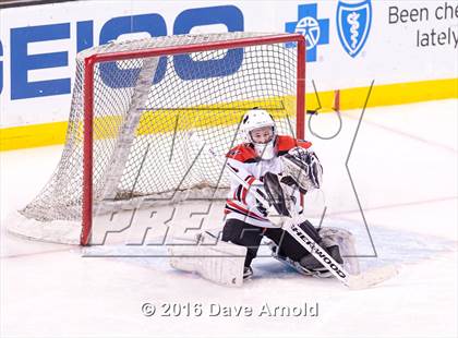 Thumbnail 1 in Wellesley vs Notre Dame Academy (MIAA Division 2 Final) photogallery.