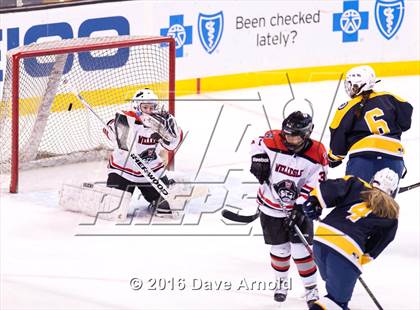 Thumbnail 1 in Wellesley vs Notre Dame Academy (MIAA Division 2 Final) photogallery.