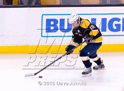 Thumbnail 2 in Wellesley vs Notre Dame Academy (MIAA Division 2 Final) photogallery.