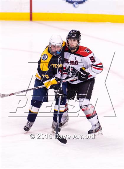 Thumbnail 2 in Wellesley vs Notre Dame Academy (MIAA Division 2 Final) photogallery.