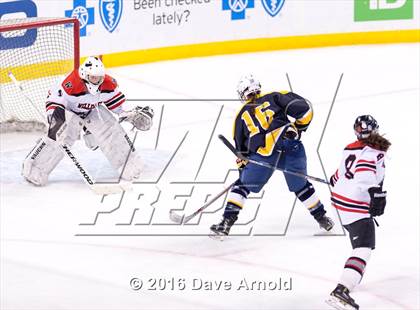 Thumbnail 3 in Wellesley vs Notre Dame Academy (MIAA Division 2 Final) photogallery.