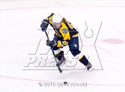 Thumbnail 2 in Wellesley vs Notre Dame Academy (MIAA Division 2 Final) photogallery.