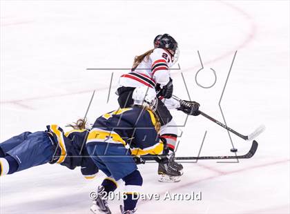 Thumbnail 2 in Wellesley vs Notre Dame Academy (MIAA Division 2 Final) photogallery.