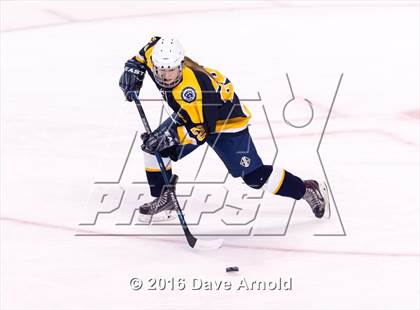 Thumbnail 3 in Wellesley vs Notre Dame Academy (MIAA Division 2 Final) photogallery.