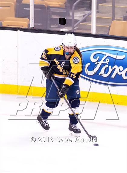 Thumbnail 3 in Wellesley vs Notre Dame Academy (MIAA Division 2 Final) photogallery.