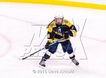 Thumbnail 1 in Wellesley vs Notre Dame Academy (MIAA Division 2 Final) photogallery.