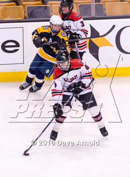 Thumbnail 3 in Wellesley vs Notre Dame Academy (MIAA Division 2 Final) photogallery.