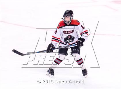 Thumbnail 2 in Wellesley vs Notre Dame Academy (MIAA Division 2 Final) photogallery.