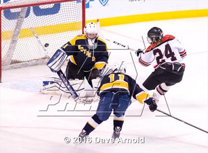 Thumbnail 3 in Wellesley vs Notre Dame Academy (MIAA Division 2 Final) photogallery.