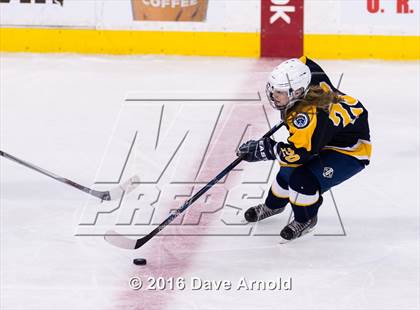 Thumbnail 1 in Wellesley vs Notre Dame Academy (MIAA Division 2 Final) photogallery.