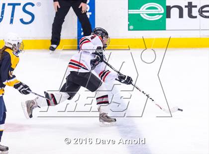 Thumbnail 2 in Wellesley vs Notre Dame Academy (MIAA Division 2 Final) photogallery.