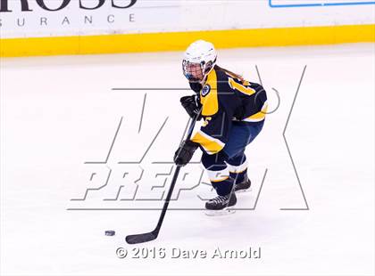 Thumbnail 1 in Wellesley vs Notre Dame Academy (MIAA Division 2 Final) photogallery.
