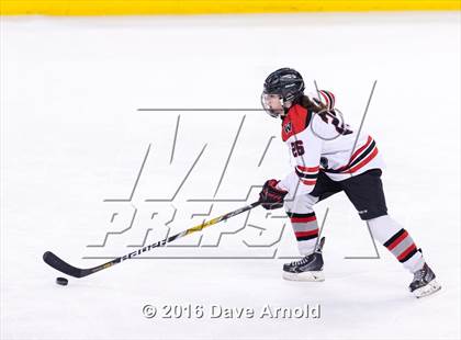 Thumbnail 2 in Wellesley vs Notre Dame Academy (MIAA Division 2 Final) photogallery.