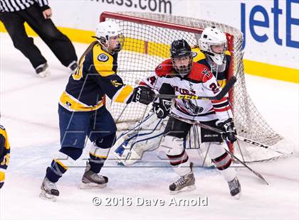 Thumbnail 3 in Wellesley vs Notre Dame Academy (MIAA Division 2 Final) photogallery.