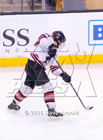 Thumbnail 3 in Wellesley vs Notre Dame Academy (MIAA Division 2 Final) photogallery.