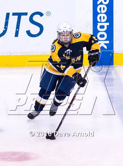 Thumbnail 1 in Wellesley vs Notre Dame Academy (MIAA Division 2 Final) photogallery.
